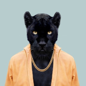 Black-Panther-Panthera-Pardus-copia